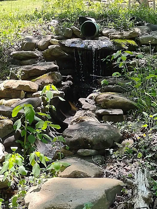 Yellow Mountain Campground 7