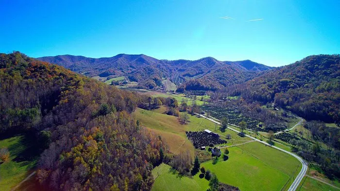 Lil Rock Creek Campground 1