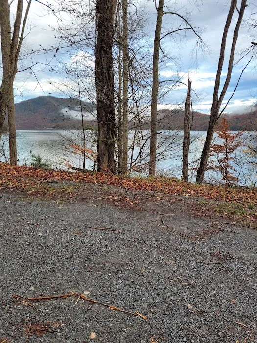 Backwoods Farm Campground 5