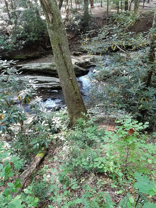 Roan Mountain State Park Check-in Station 4