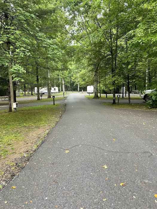 Roan Mountain State Park Campground 1