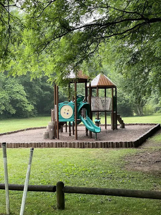 Roan Mountain State Park Campground 2