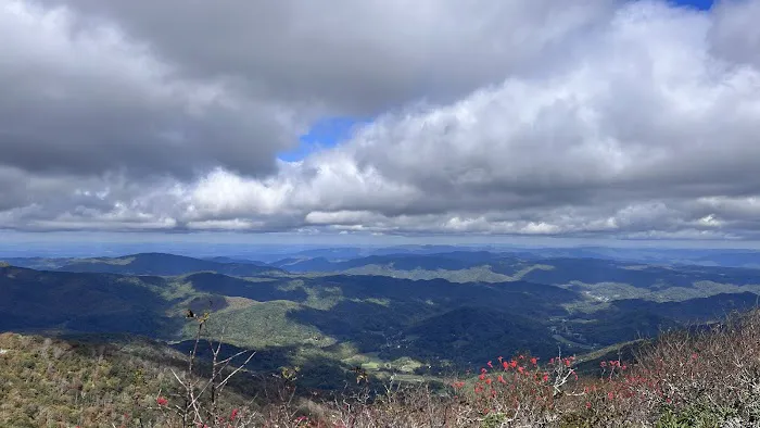 Roan Mountain State Park Campground 5