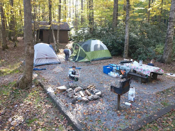 Roan Mountain State Park Campground 6