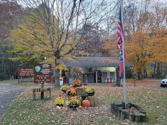 Roan Mountain State Park Campground 8