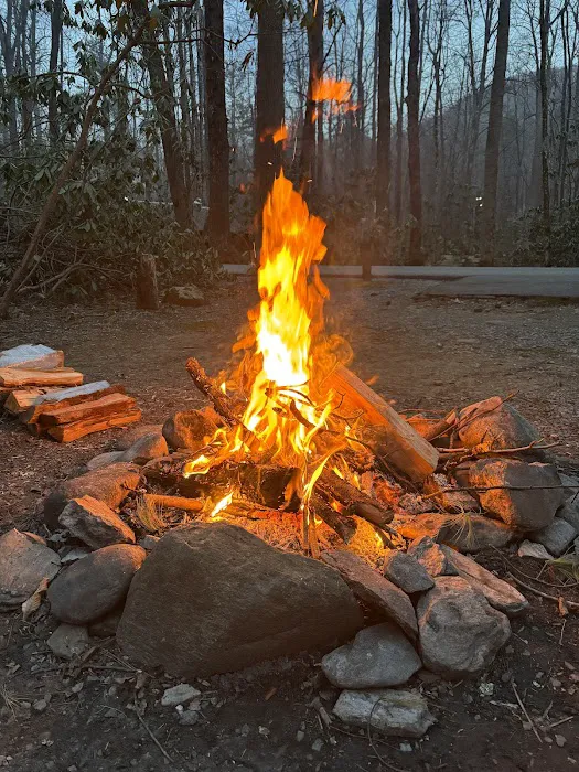 Roan Mountain State Park Campground 9