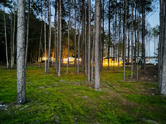 Waccamaw Pines Campground 2