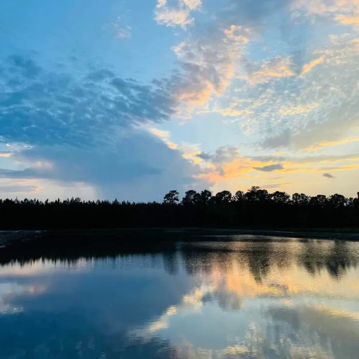 Waccamaw Pines Campground 3