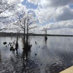 Singletary Lake Group Camp