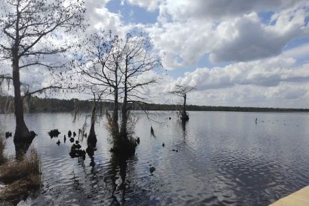 Singletary Lake Group Camp