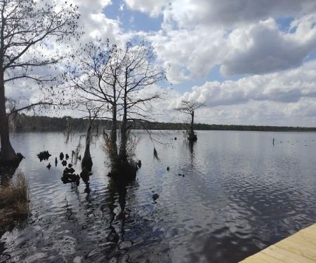 Singletary Lake Group Camp