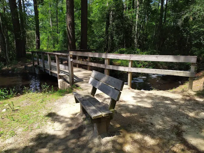 Singletary Lake Group Camp 7