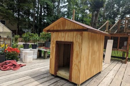 Treehouse [树屋家]