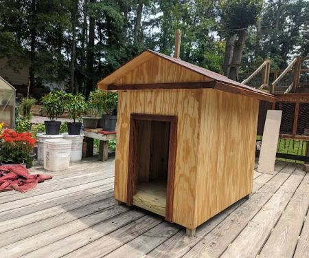 Treehouse [树屋家]
