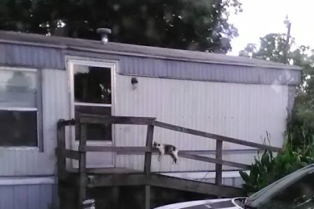 Shady Hill Trailer Park