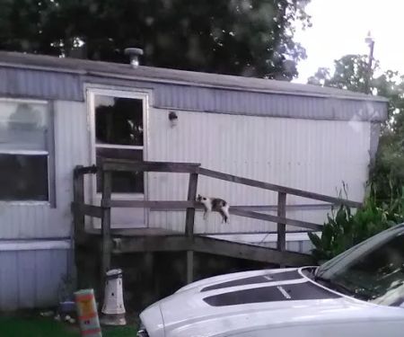 Shady Hill Trailer Park