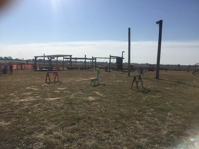 Todd Family Fun Farm & Corn Maze 5