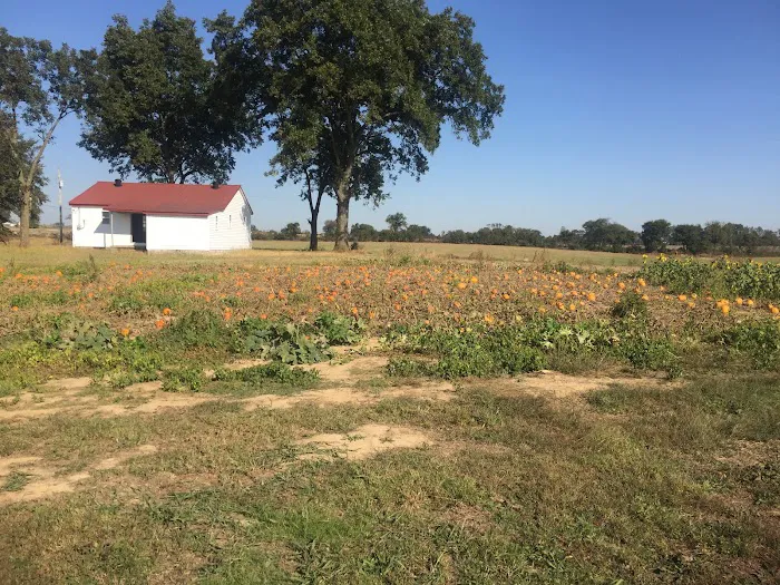 Todd Family Fun Farm & Corn Maze 3