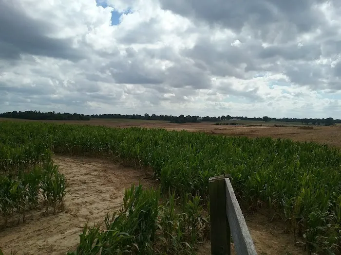 Todd Family Fun Farm & Corn Maze 2