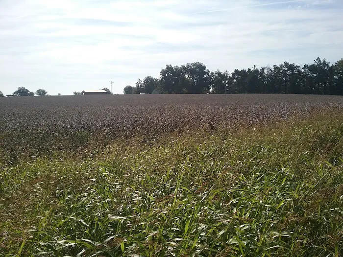 Todd Family Fun Farm & Corn Maze 9