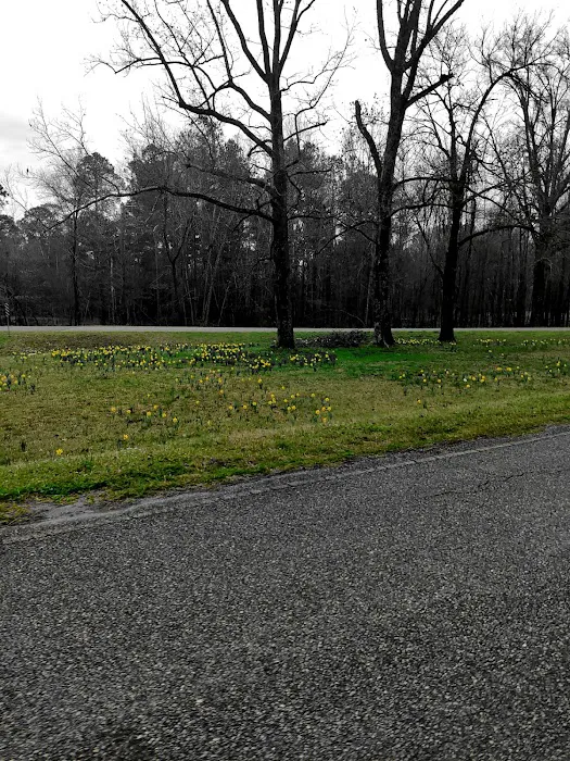 Lake Sardis Campground 1