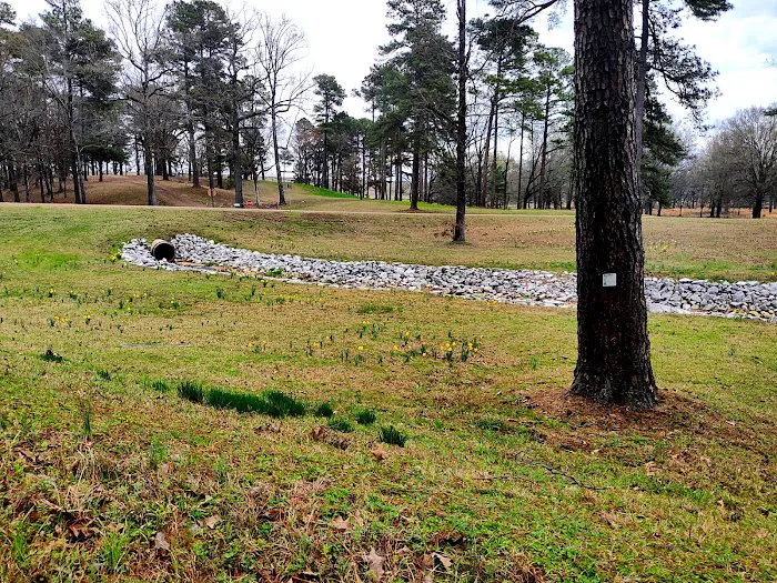 Lake Sardis Campground 2