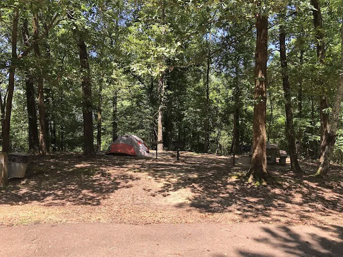 CLEAR CREEK (MS) (recgovnpsdata) 10