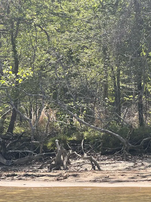 John Kyle State Park Campground 7