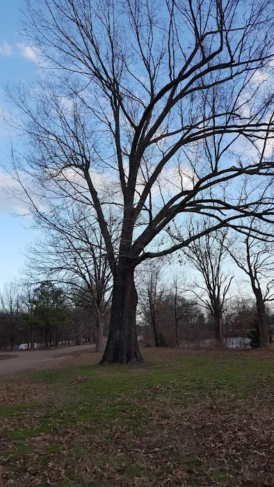 John Kyle State Park Campground 8