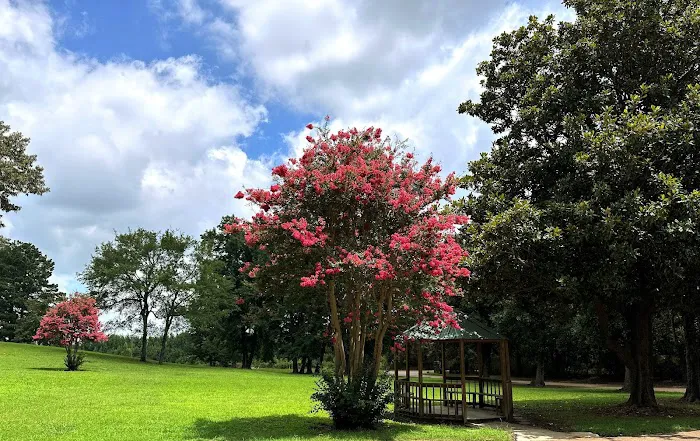 Magnolia Hills Mobile Home Community 2