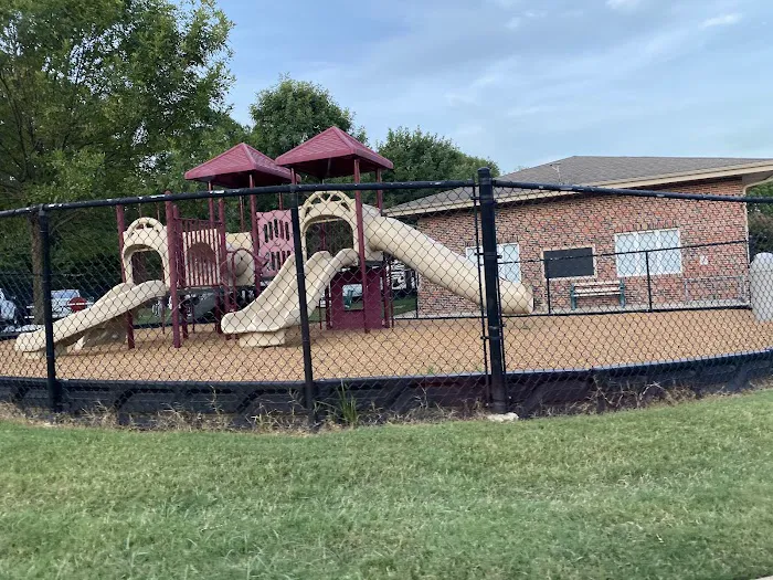 Yogi Bear's Jellystone Park 6