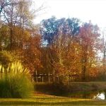 Belaire RV Park