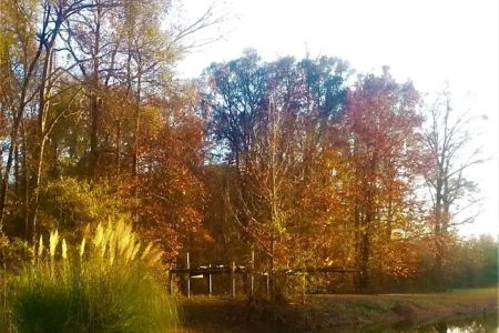 Belaire RV Park