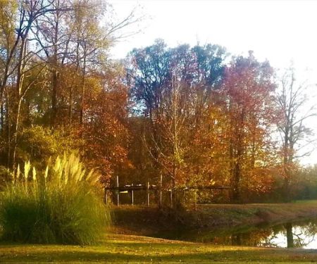 Belaire RV Park
