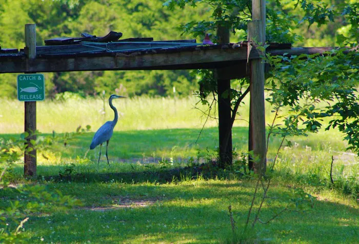 Belaire RV Park 6