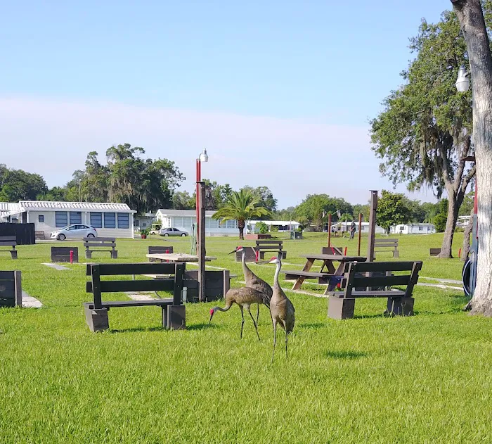 Rice Creek RV Resort 3
