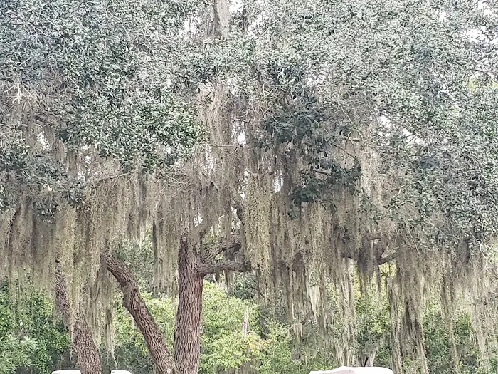 Rice Creek RV Resort 10