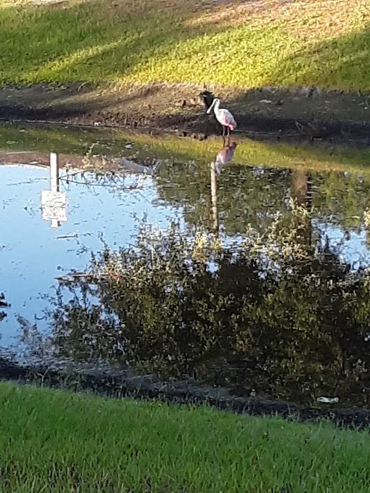 Bullfrog Creek Mobile Home Park 2