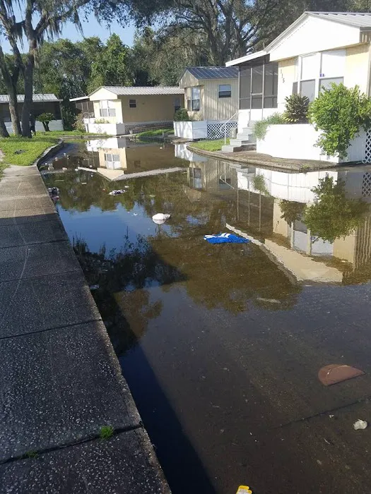 Bullfrog Creek Mobile Home Park 6