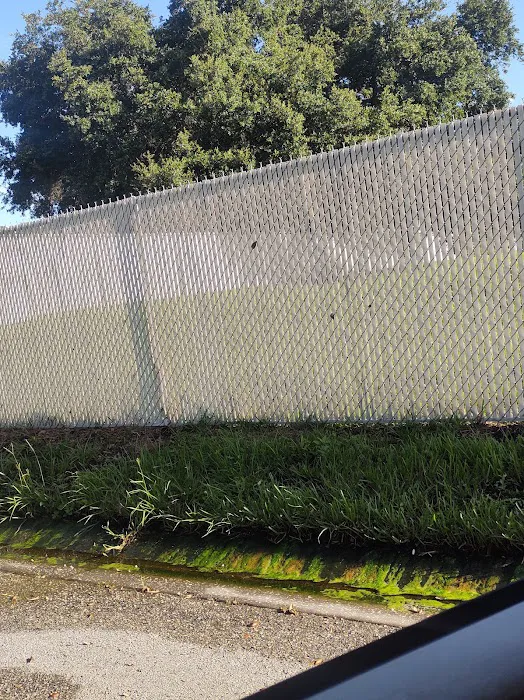Alafia Riverfront Mobile Home Park 3