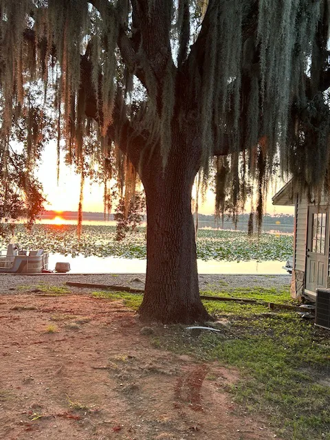 Bonnet Lake Estates 6