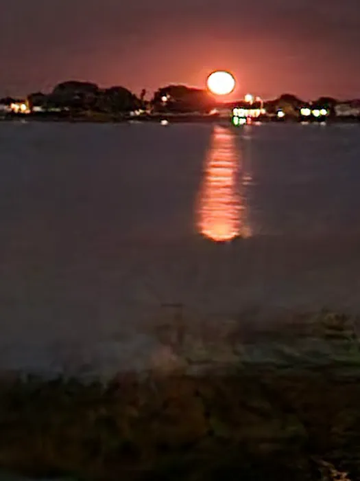 Dinner lake Haven Mobile Home Park 4