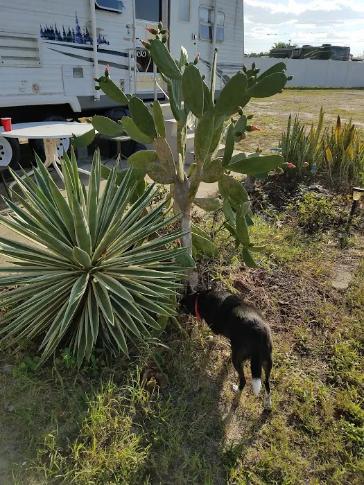 Sunny Pines RV & Mobile Home Park 6