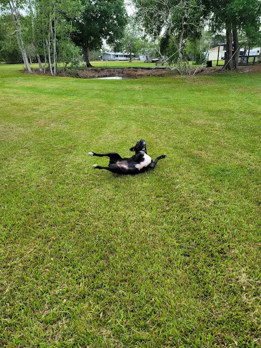 Sebring Gardens RV Park 5