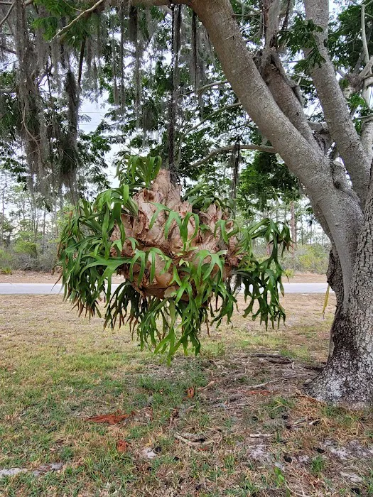 Sebring Gardens RV Park 9