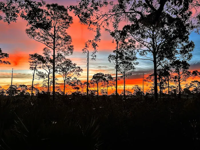 Highlands Hammock State Park Campground 9