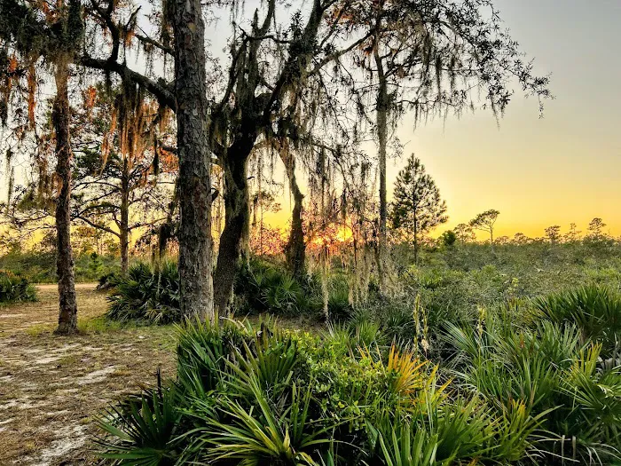 Highlands Hammock State Park Campground 5