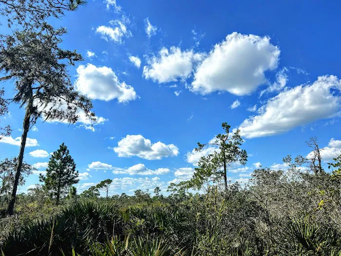 Highlands Hammock State Park Campground 10