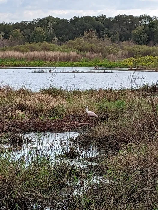 Lake Jackson Campsite 5