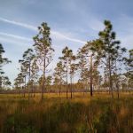 three lakes WMA campground